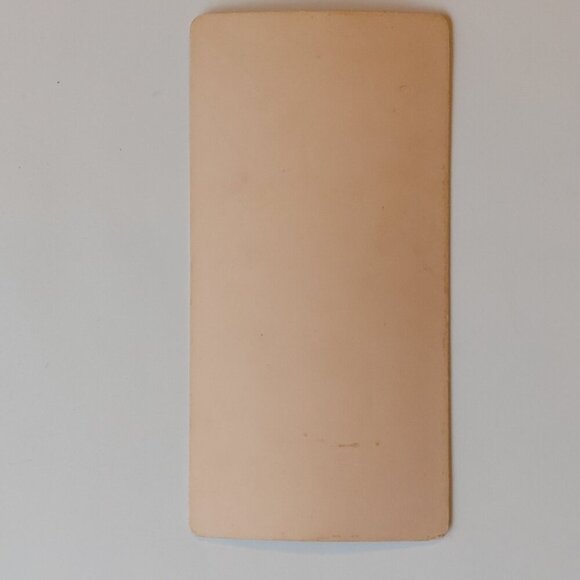 ANTIQUE STEREOGRAPH CARD A Lovers' Walk, Niagara Falls, U.S.A - Picture 5 of 5